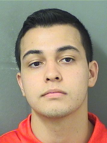  MANUEL J MONTERO CORREA Results from Palm Beach County Florida for  MANUEL J MONTERO CORREA