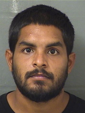  ELVIC HERRERA Results from Palm Beach County Florida for  ELVIC HERRERA