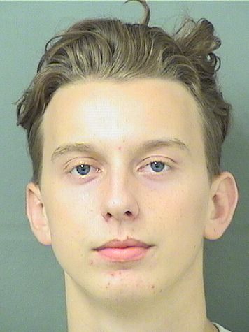  AARON LEVI NORMAN Results from Palm Beach County Florida for  AARON LEVI NORMAN