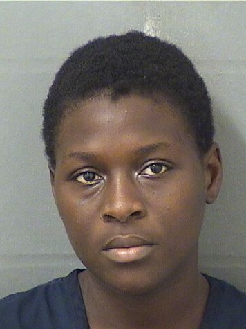  DIEULINEDA CHRISTOPHE Results from Palm Beach County Florida for  DIEULINEDA CHRISTOPHE