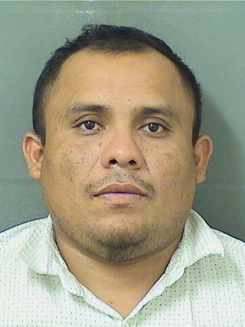  MARGERITO VASQUEZ Resultados de la busqueda para Palm Beach County Florida para  MARGERITO VASQUEZ