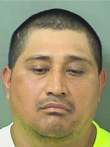  CARMEN RUBEN REYES Resultados de la busqueda para Palm Beach County Florida para  CARMEN RUBEN REYES