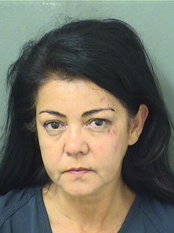  ROSALIA GERNANIA BOCCOLERI Resultados de la busqueda para Palm Beach County Florida para  ROSALIA GERNANIA BOCCOLERI