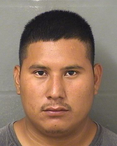  SEBASTIAN MONTEJOHERNANDEZ Resultados de la busqueda para Palm Beach County Florida para  SEBASTIAN MONTEJOHERNANDEZ