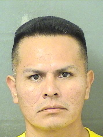  FRANCISCO JAVIER HERNANDEZ Results from Palm Beach County Florida for  FRANCISCO JAVIER HERNANDEZ