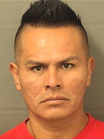  FRANCISCO JAVIER HERNANDEZ Results from Palm Beach County Florida for  FRANCISCO JAVIER HERNANDEZ