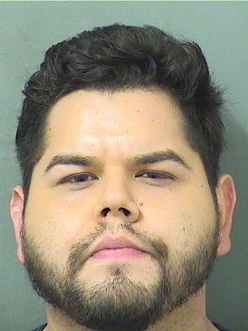  CHRISTIAN ANTHONY ESTRADA Results from Palm Beach County Florida for  CHRISTIAN ANTHONY ESTRADA