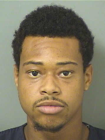  RONNIE PLATT Results from Palm Beach County Florida for  RONNIE PLATT