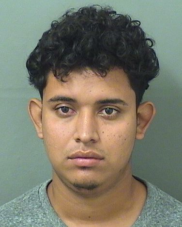  DILBER NATANAEL HERNANDEZFLORES Results from Palm Beach County Florida for  DILBER NATANAEL HERNANDEZFLORES