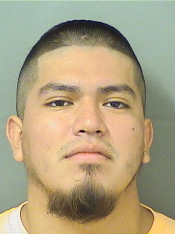  LEONARDO RAFAEL GONZALEZ Resultados de la busqueda para Palm Beach County Florida para  LEONARDO RAFAEL GONZALEZ