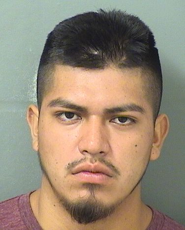  LEONARDO RAFAEL GONZALEZ Results from Palm Beach County Florida for  LEONARDO RAFAEL GONZALEZ