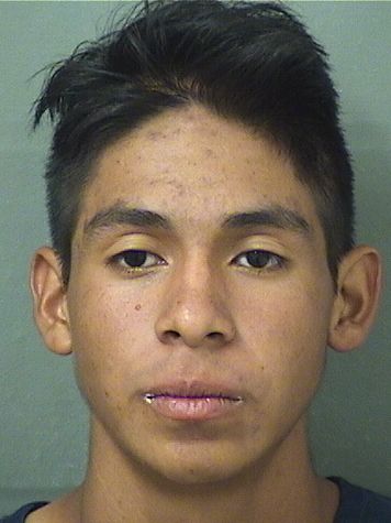 ALEXANDER JESUS JUAN Results from Palm Beach County Florida for ALEXANDER JESUS JUAN ALEXANDER JESUS JUAN Results from Palm Beach County Florida for ALEXANDER JESUS JUAN