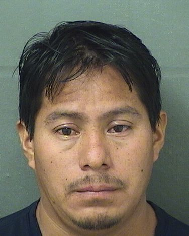  MIGUEL GOMEZMIGUEL Results from Palm Beach County Florida for  MIGUEL GOMEZMIGUEL