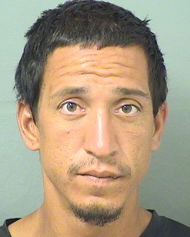  DAVID CHRISTOPHER COLON Results from Palm Beach County Florida for  DAVID CHRISTOPHER COLON