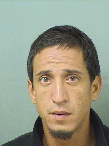  DAVID CHRISTOPHER COLON Results from Palm Beach County Florida for  DAVID CHRISTOPHER COLON