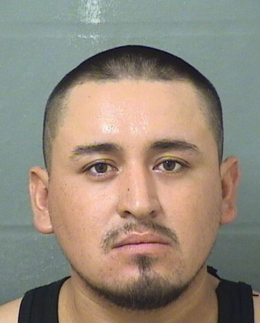 MARIO FLORES HERNANDEZ Photos For  MARIO FLORES HERNANDEZ  MARIO FLORES HERNANDEZ Photo For  MARIO FLORES HERNANDEZ