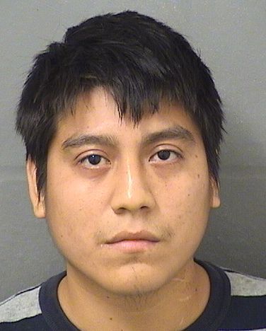  JHONNY DIAZ PEREZ Results from Palm Beach County Florida for  JHONNY DIAZ PEREZ