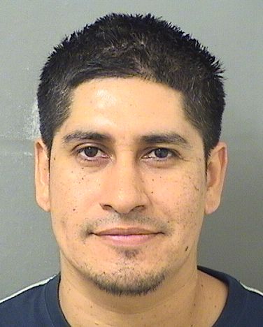  ALAN EDUARDO ORTEGA Photo For  ALAN EDUARDO ORTEGA