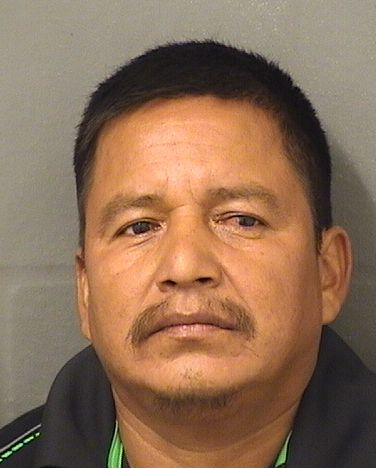  TRINIDAD JIMENEZ SILVESTRE Results from Palm Beach County Florida for  TRINIDAD JIMENEZ SILVESTRE