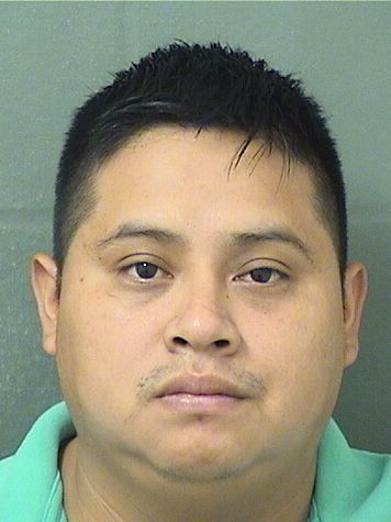  DANILO IVAN PABLO GOMEZ Results from Palm Beach County Florida for  DANILO IVAN PABLO GOMEZ