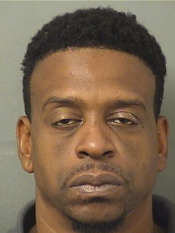  MICHAEL J TAYLOR Results from Palm Beach County Florida for  MICHAEL J TAYLOR