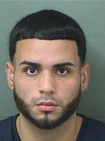  JOSE MANUEL MELENDEZLOPEZ Results from Palm Beach County Florida for  JOSE MANUEL MELENDEZLOPEZ