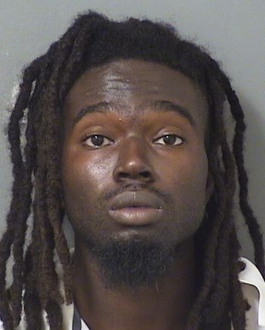  WILLIE JAMES IV SMITH Results from Palm Beach County Florida for  WILLIE JAMES IV SMITH