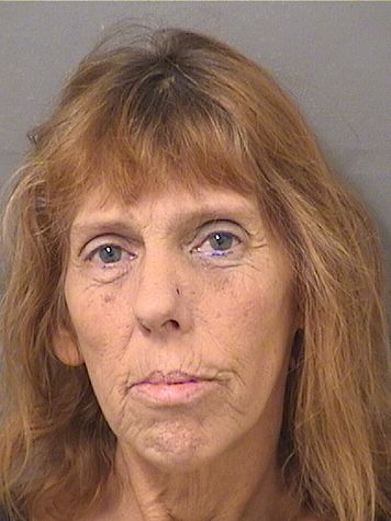 DONNAMARIE TUREK Photos For  DONNAMARIE TUREK  DONNAMARIE TUREK Photo For  DONNAMARIE TUREK