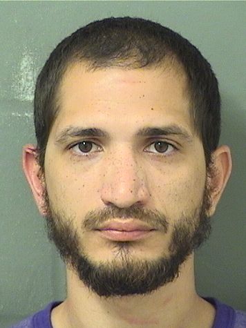  LUIS MANUEL RAMOSAGUILAR Results from Palm Beach County Florida for  LUIS MANUEL RAMOSAGUILAR