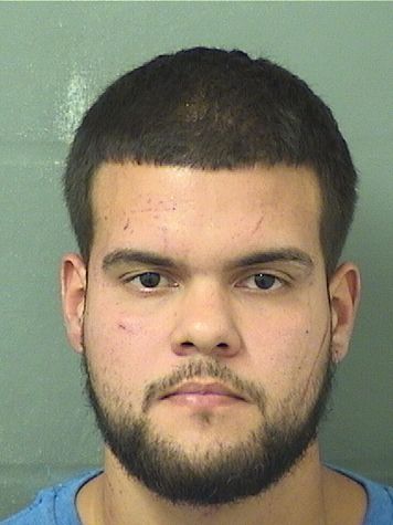  BRANDAN ANIBAL LATORRE Photo For  BRANDAN ANIBAL LATORRE