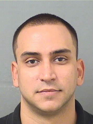  GREGORY ANGELOCLAYTON MASSARI Results from Palm Beach County Florida for  GREGORY ANGELOCLAYTON MASSARI