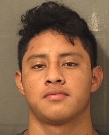  RONY R VICENTE Results from Palm Beach County Florida for  RONY R VICENTE
