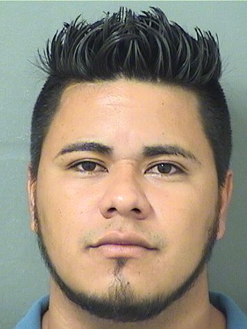  WALTER ALBERTO GARCIACALIX Results from Palm Beach County Florida for  WALTER ALBERTO GARCIACALIX