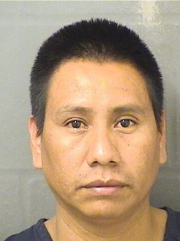  JUAN BRIGIDO Results from Palm Beach County Florida for  JUAN BRIGIDO