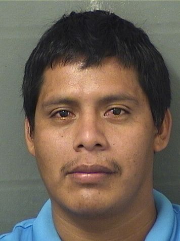  NERY DIONEL CASTROVAIL Results from Palm Beach County Florida for  NERY DIONEL CASTROVAIL