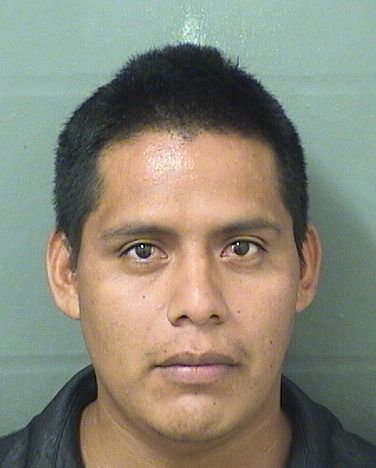  NERY CASTROVAIL Results from Palm Beach County Florida for  NERY CASTROVAIL