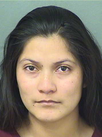  LAURA DOMINGA MORALES Results from Palm Beach County Florida for  LAURA DOMINGA MORALES