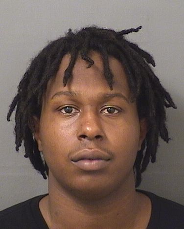  JOSHUA PIERRE LOUIS Results from Palm Beach County Florida for  JOSHUA PIERRE LOUIS