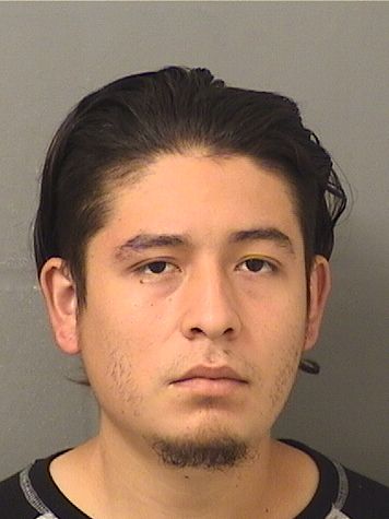  YEFER NOE LOPEZGONZALEZ Results from Palm Beach County Florida for  YEFER NOE LOPEZGONZALEZ