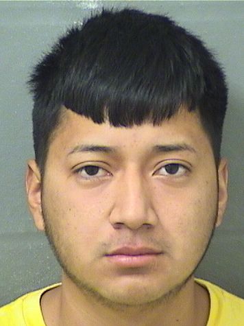  MARVIN ARREAGAESCALANTE Results from Palm Beach County Florida for  MARVIN ARREAGAESCALANTE