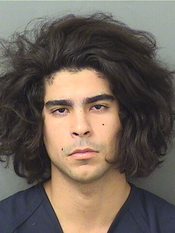  JAVIER A SILVA Results from Palm Beach County Florida for  JAVIER A SILVA