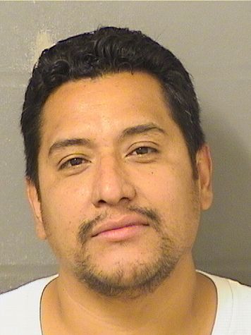  ROMMEL FRANCISCO GIRON Resultados de la busqueda para Palm Beach County Florida para  ROMMEL FRANCISCO GIRON