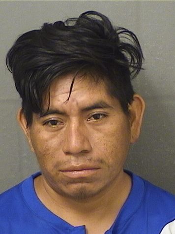  ROBERTO PEREZORTIZ Results from Palm Beach County Florida for  ROBERTO PEREZORTIZ