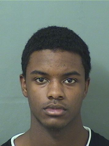  DANIEL JOHNSON Results from Palm Beach County Florida for  DANIEL JOHNSON