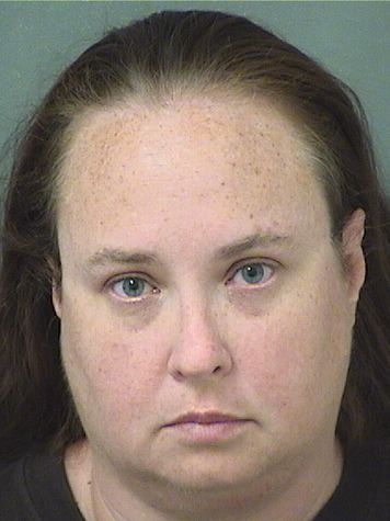  TONYA M JOHNSON Results from Palm Beach County Florida for  TONYA M JOHNSON