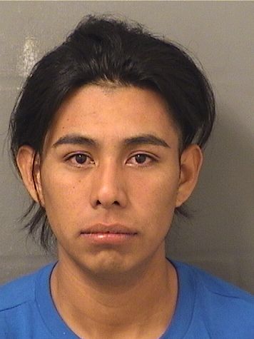  PASCUAL AJTZALAM Results from Palm Beach County Florida for  PASCUAL AJTZALAM