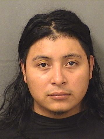  MANUEL ANIBAL LUISCHAREZ Results from Palm Beach County Florida for  MANUEL ANIBAL LUISCHAREZ