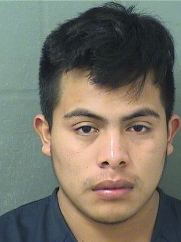  LOUIS RODRIGUEZ Resultados de la busqueda para Palm Beach County Florida para  LOUIS RODRIGUEZ