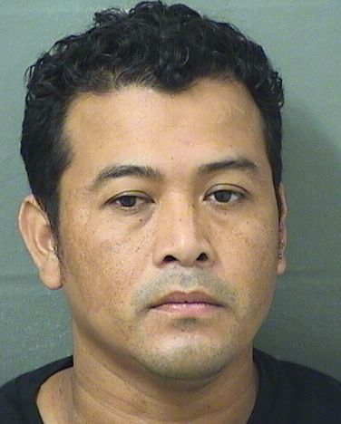  WILMER ANTUNEZPADILLA Results from Palm Beach County Florida for  WILMER ANTUNEZPADILLA
