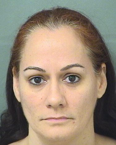  SONIA NOEMI REYES Results from Palm Beach County Florida for  SONIA NOEMI REYES